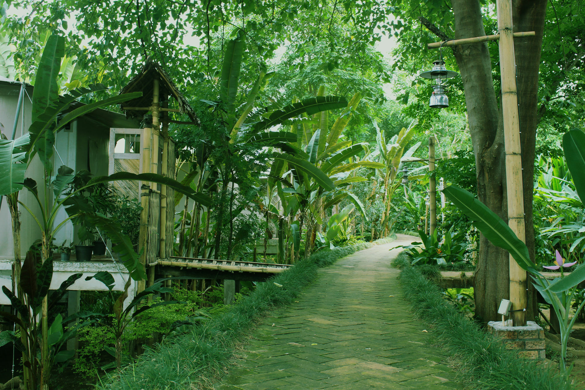 Pai Vimaan Resort Mae Hong Son Exterior foto